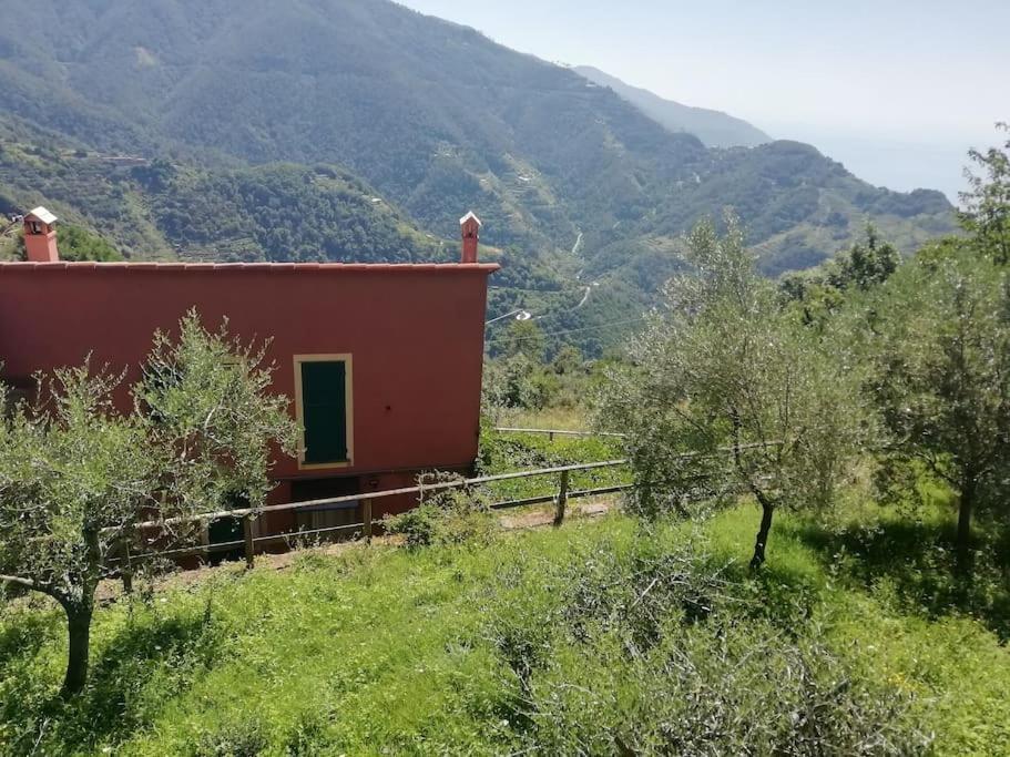 Quiet And Cozy Home With Wi-Fi Casa Prearino Vernazza Eksteriør billede